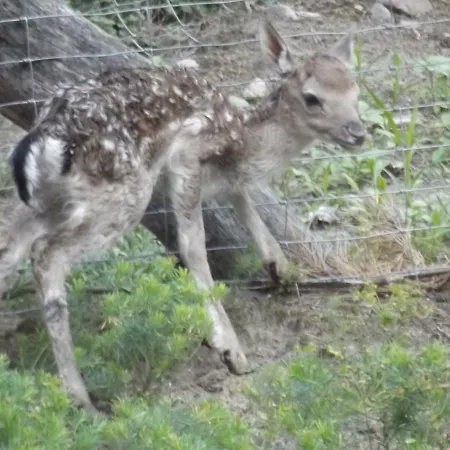 Casa vacanze Agroturystyka