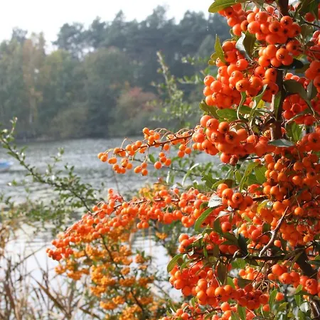 Agroturystyka Casa vacanze Zatom Stary