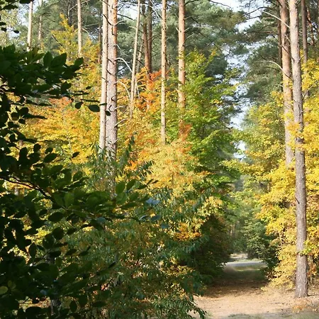 Agroturystyka Casa vacanze Zatom Stary