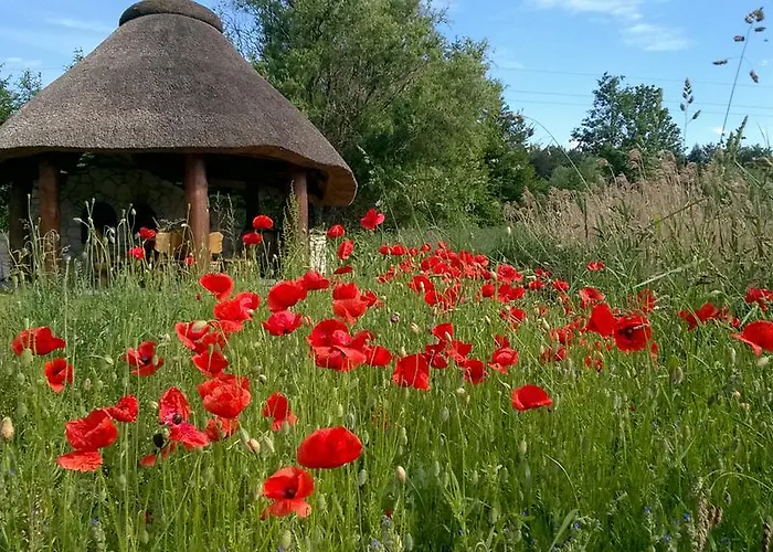 Casa vacanze Agroturystyka *