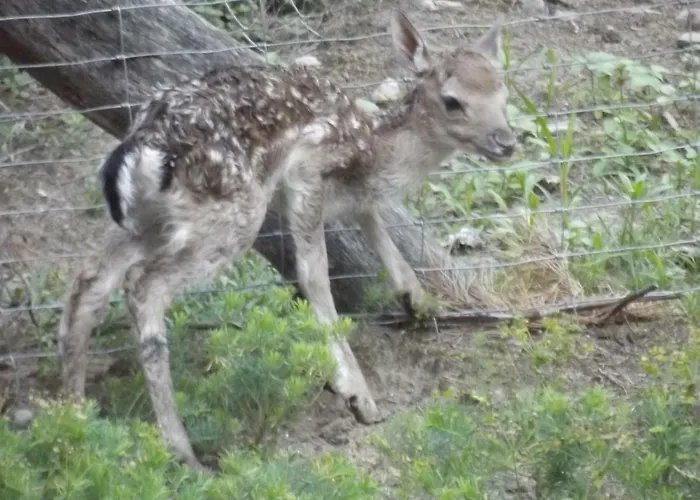 Casa vacanze Agroturystyka