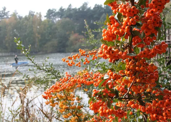 Agroturystyka Casa vacanze Zatom Stary