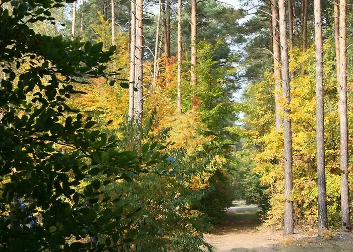 Agroturystyka Casa vacanze Zatom Stary