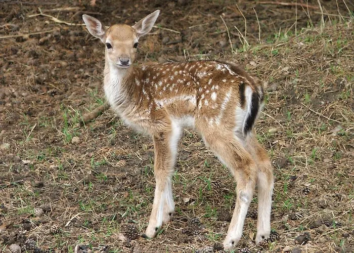 Agroturystyka Casa vacanze *