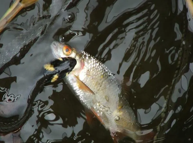 Casa vacanze Agroturystyka